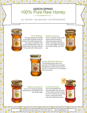Ein Harod Pure Raw Honey - Galilee Starthistle Blossom