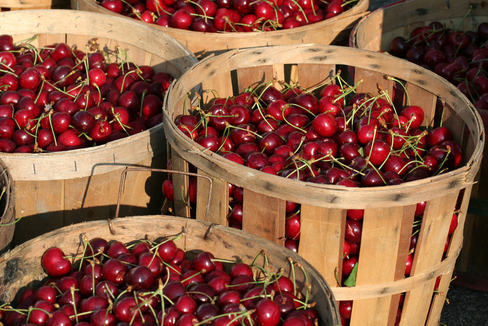 Beit Yitzhak 100% Fruit Spreads - Cherry