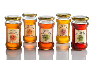 Ein Harod Pure Raw Honey - Citrus Blossom