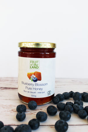 Fruit of the Land Blueberry Blossom Honey