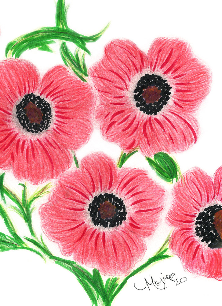 
            
                Load image into Gallery viewer, Maureen&amp;#39;s Floral Greeting Postcards
            
        